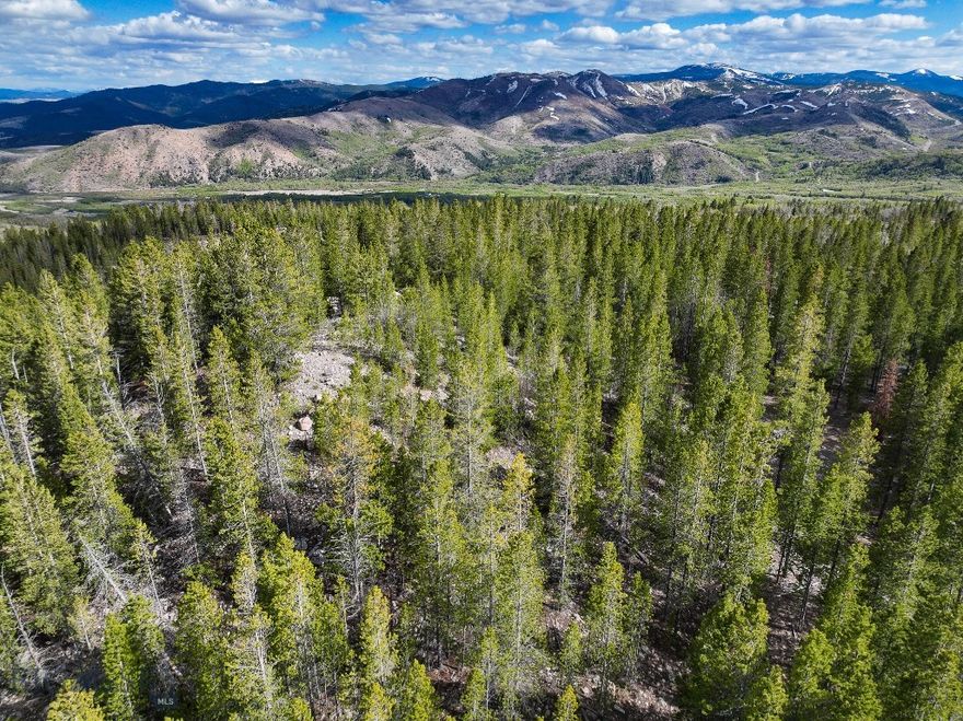 Located near the end of Silver Creek Trail, this property offers a rare combination of solitude, adventure, and breathtaking Montana scenery. Adjoining public land alive with wildlife—including elk, deer, moose, and bears—it’s a dream for hunters and outdoor enthusiasts. Countless rubs left by bulls during the fall, captured in the photos among a healthy mix of coniferous and deciduous trees, highlight the area’s vibrant wildlife activity. Multiple potential build sites offer opportunities to craft your vision of Montana living. Neighboring county-owned lands connect to thousands of additional acres of public land under various ownerships, opening up endless opportunities for exploration and recreation.

One standout build site sits at the edge of the property, ideal for a private, off-grid, end-of-the-road cabin with stunning views of the Pintler Range to the south. Other build sites may offer even larger, commanding vistas. Access is via a good road, ensuring a smooth journey into the exceptional property. This may be the perfect match for a family or a group of friends looking for a retreat or hunting base camp as the covenants allow for two cabins and two guest cabins per 20 acres.

Beyond the property, enjoy access to some of Montana’s best amenities and outdoor attractions. Tee off at the world-renowned Old Works Golf Course in Anaconda, soak in the mineral-rich waters of Fairmont Hot Springs, or fish the pristine waters of Georgetown Lake, the Beaverhead River, or the Clark Fork River—all within a short drive. Whether you’re seeking a hunting basecamp, a private retreat, or a place to enjoy Montana’s vast outdoor offerings, this property won’t disappoint.