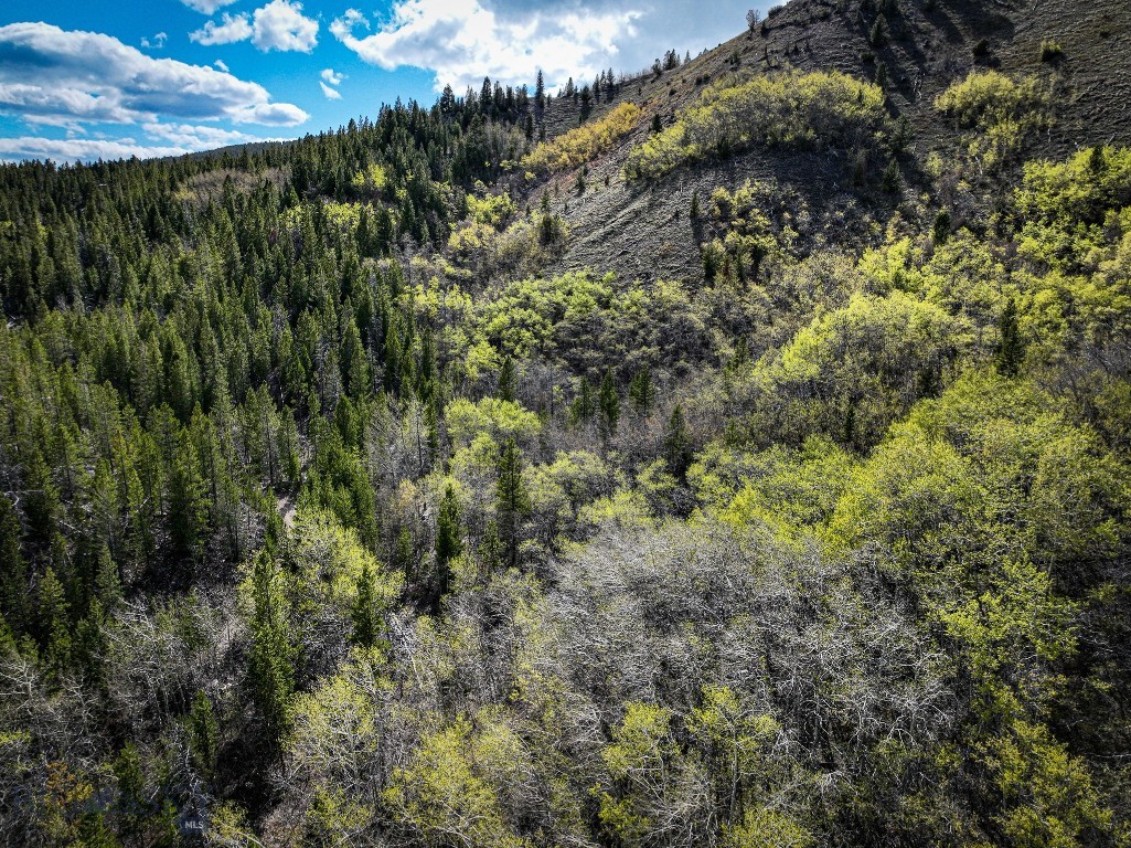 Other - Land