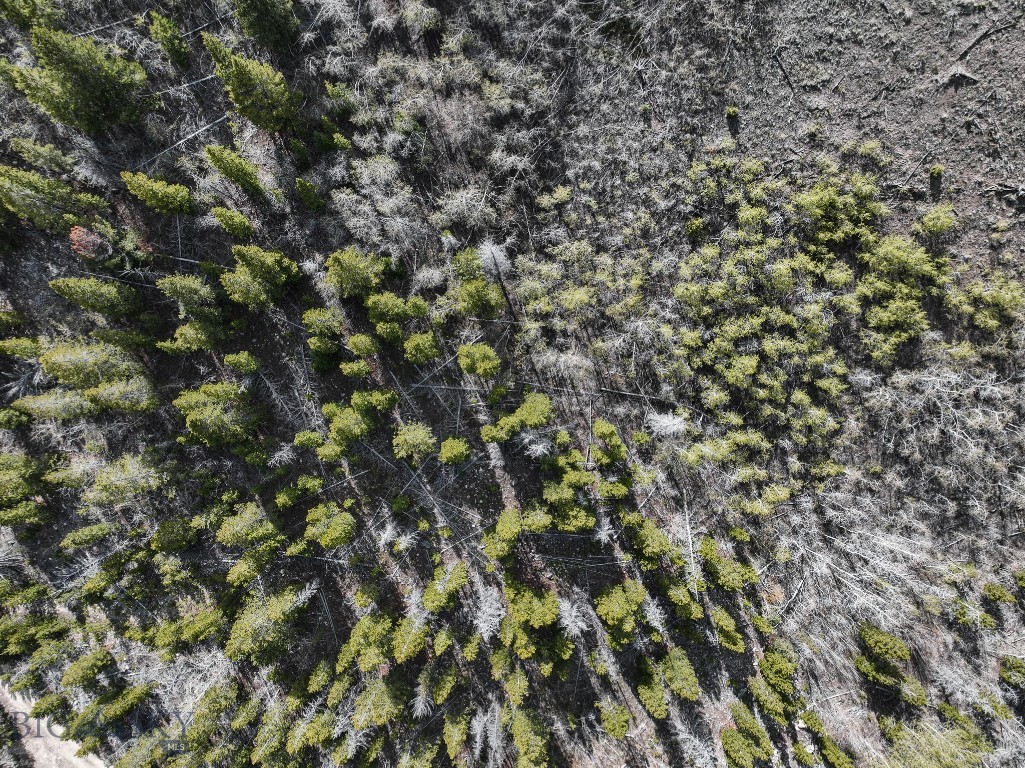 Other - Land