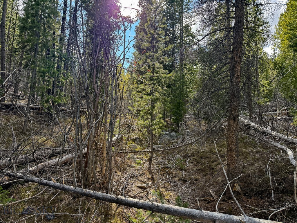 Other - Land