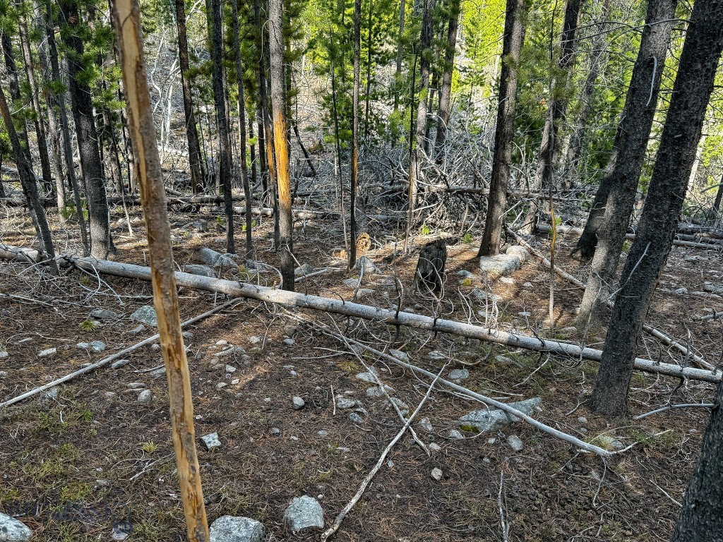 Other - Land
