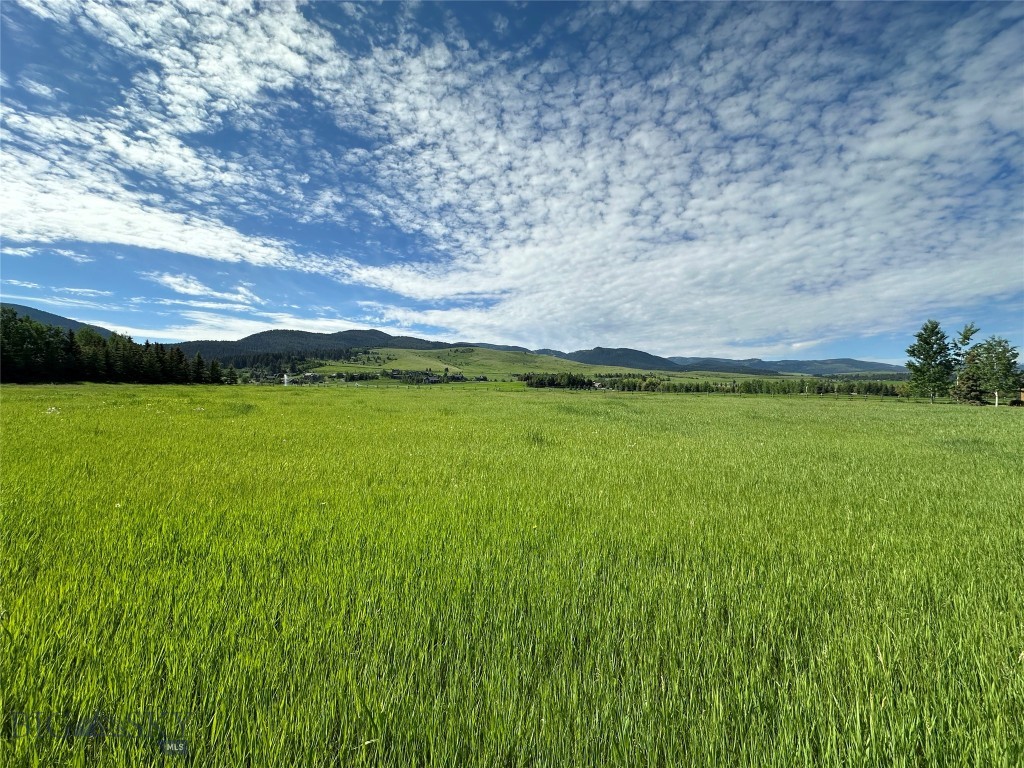 Greenhills Ranch - Land