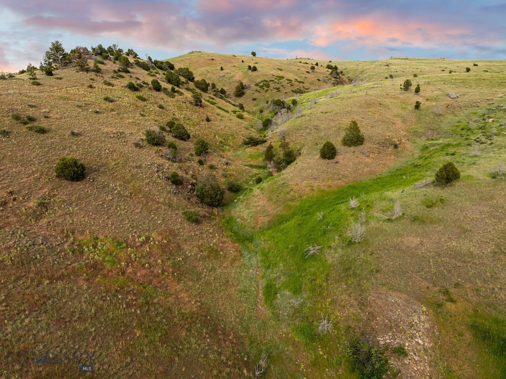 Certificate Of Survey COS - Residential