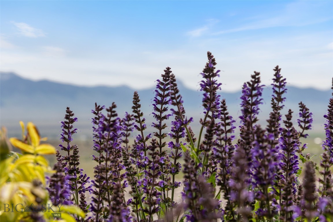 Shining Mountain Unit I - Residential