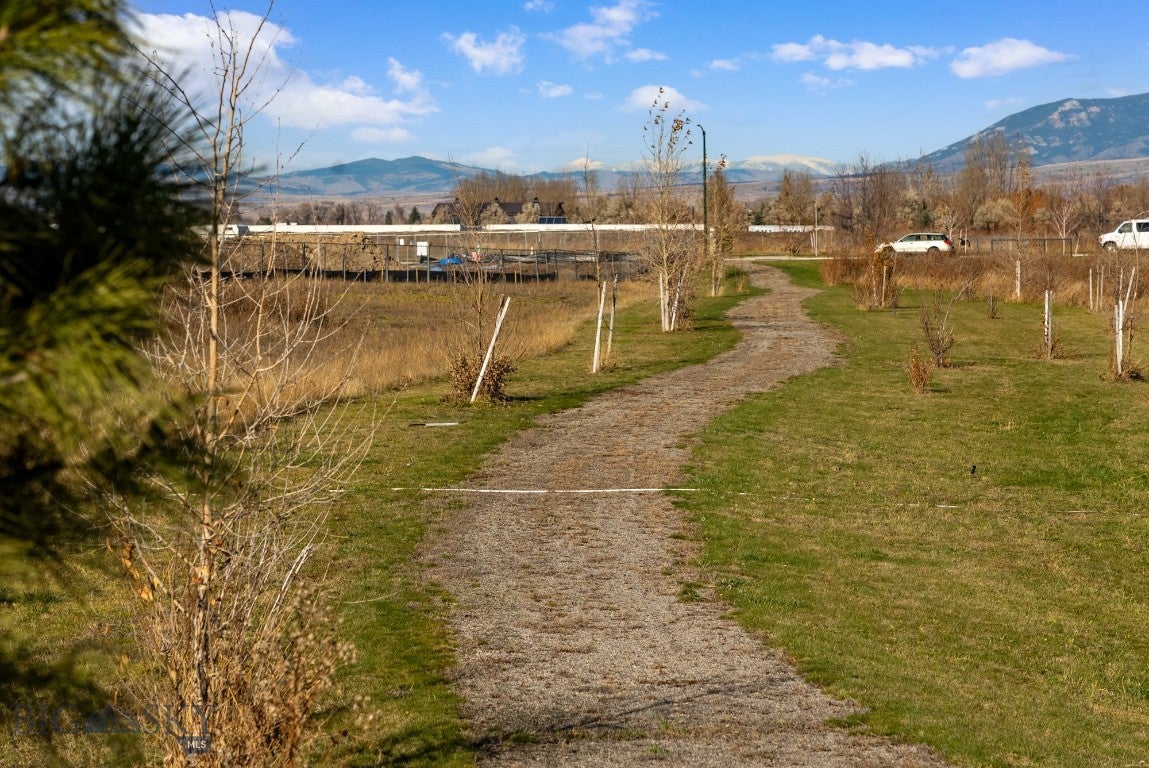 3355 Royal Wolf Way Lot 12