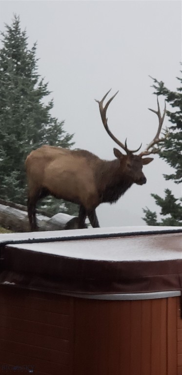 Timberline Creek - Residential