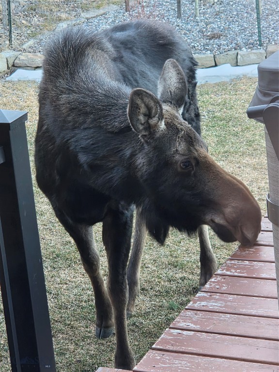 Timberline Creek - Residential