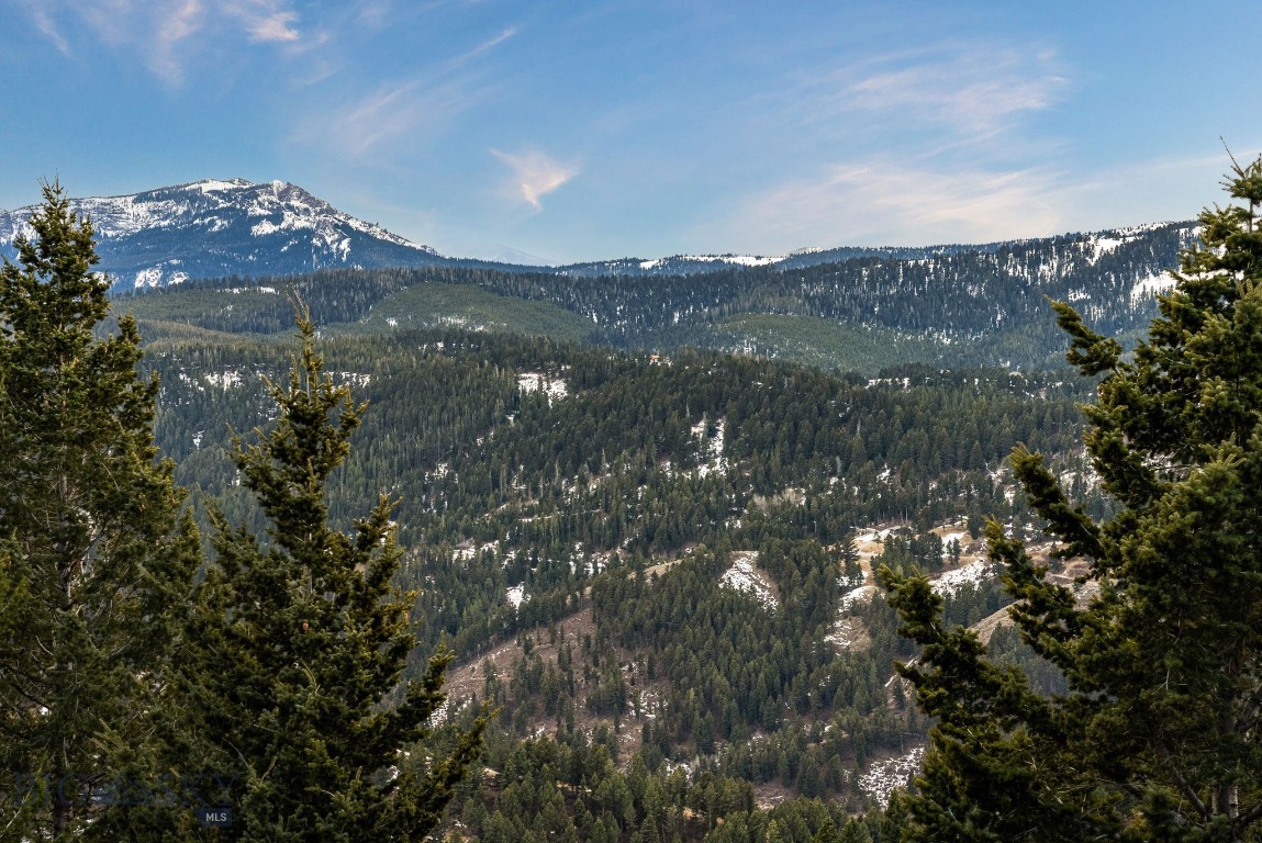 Timberline Creek - Residential
