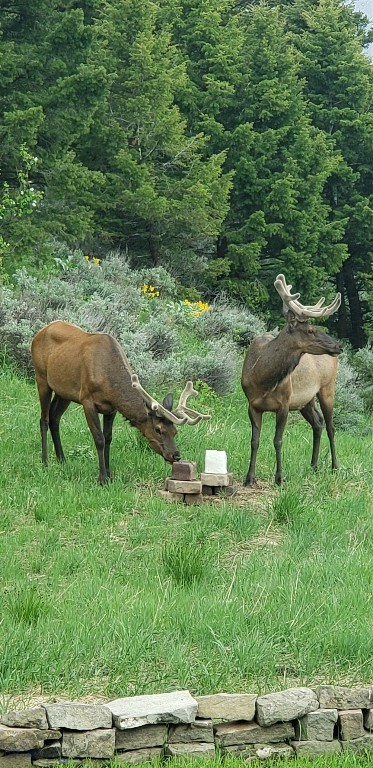 Timberline Creek - Residential