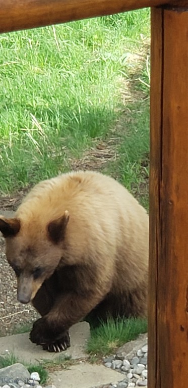 Timberline Creek - Residential