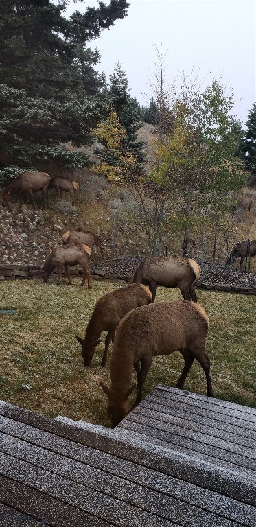 Timberline Creek - Residential