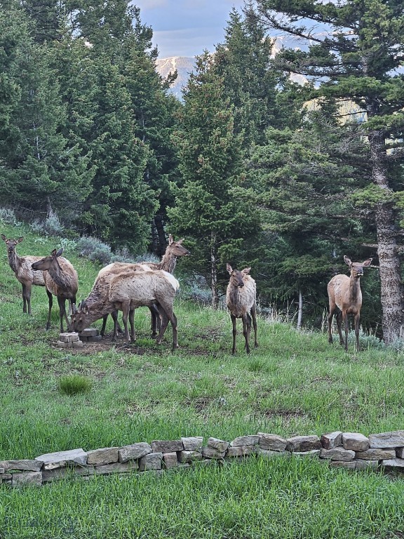 Timberline Creek - Residential
