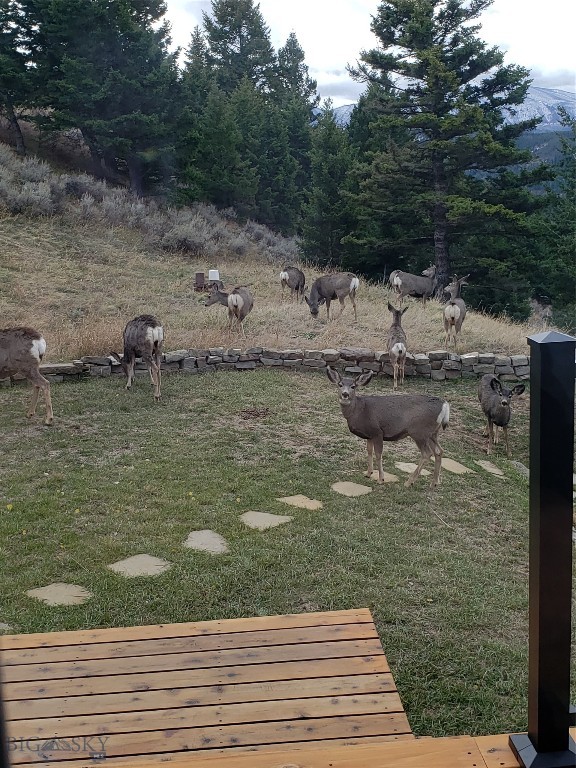 Timberline Creek - Residential