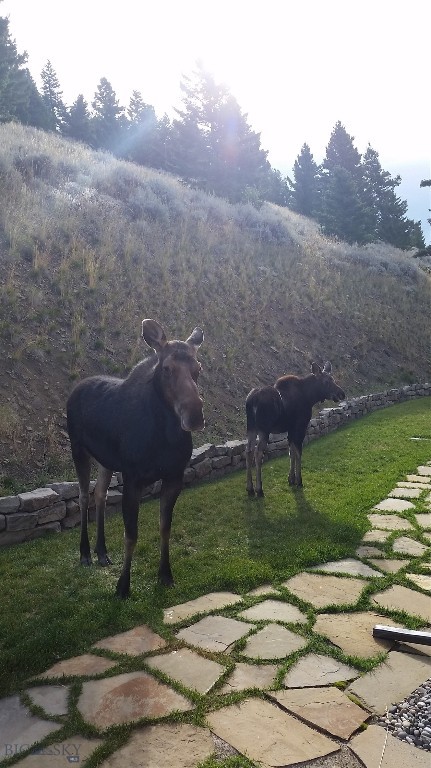 Timberline Creek - Residential