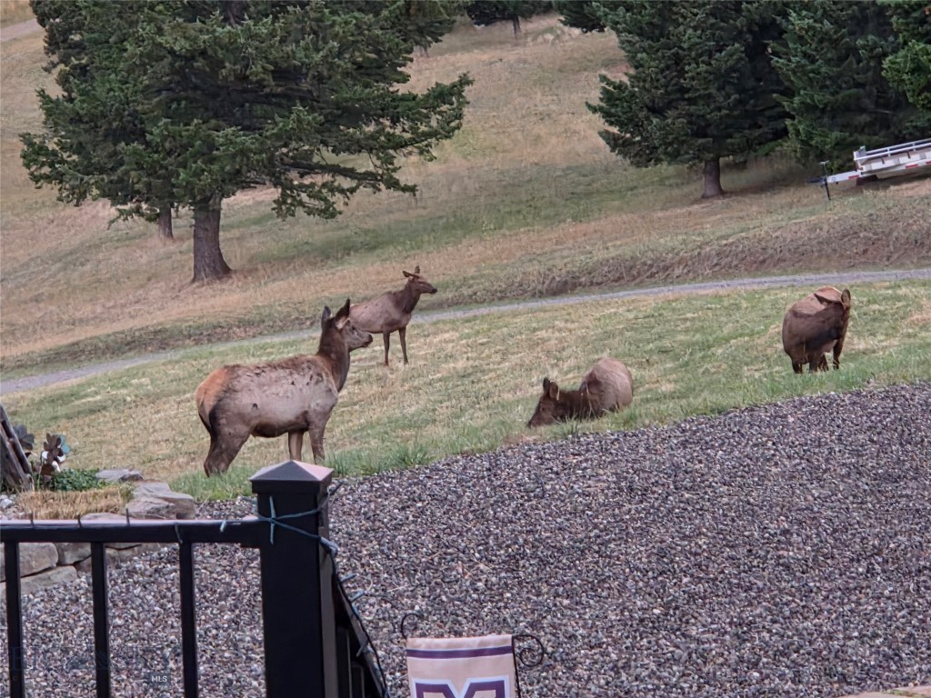 Timberline Creek - Residential