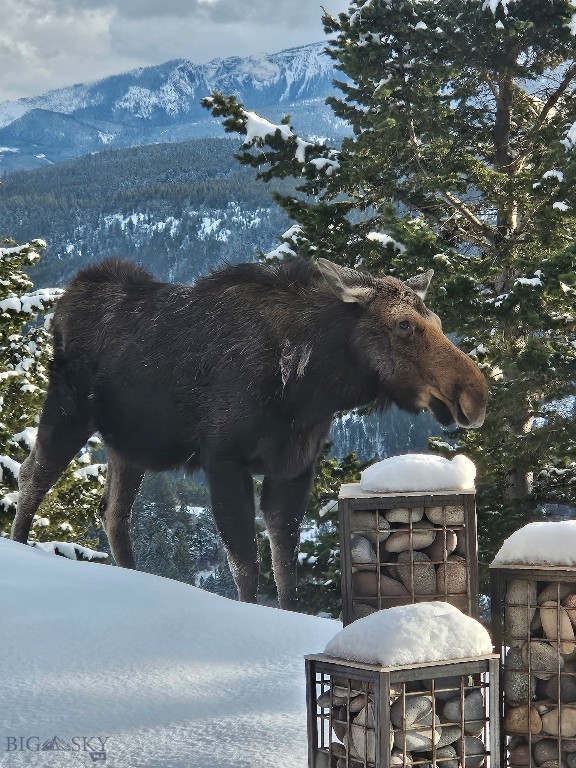 Timberline Creek - Residential