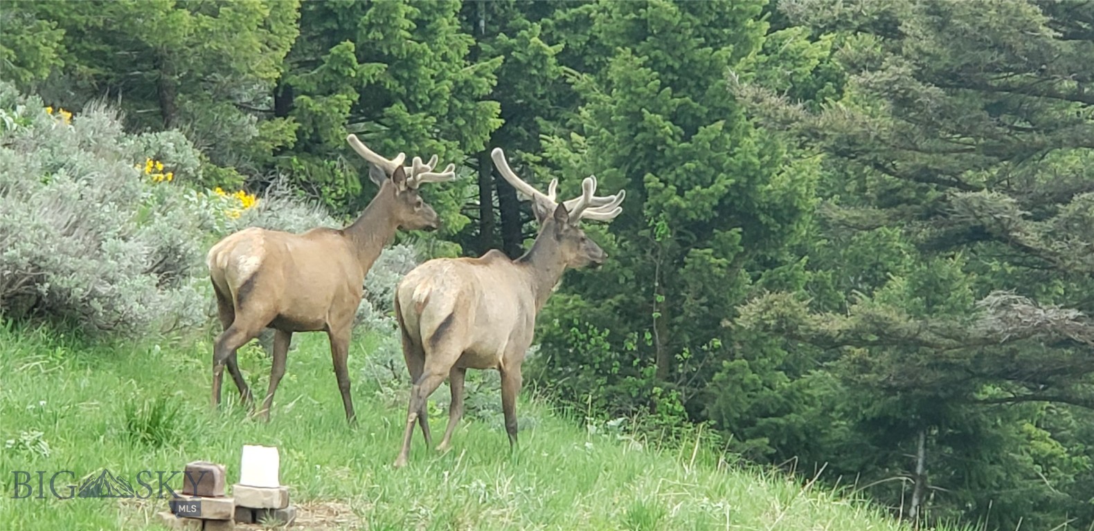 Timberline Creek - Residential