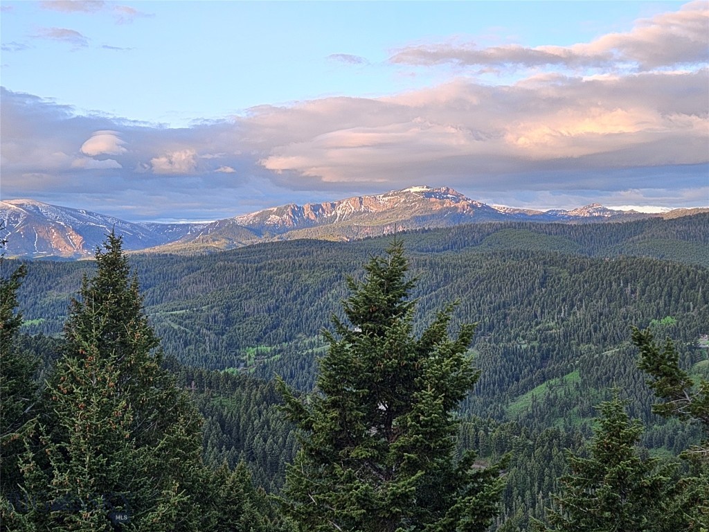 Timberline Creek - Residential