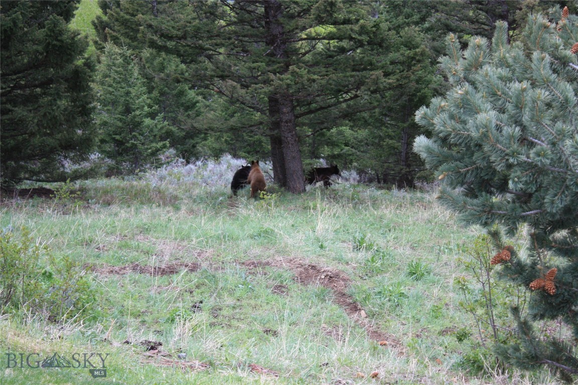Timberline Creek - Residential