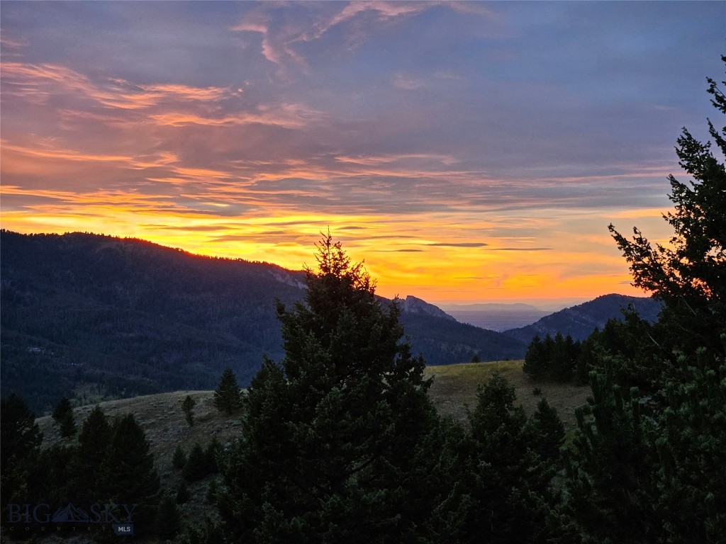 Timberline Creek - Residential