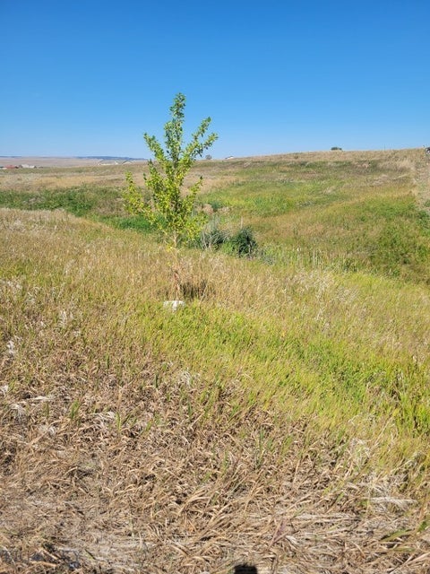 Photo of 148 Internet Access, Roberts, MT 59070 (MLS # 415473)