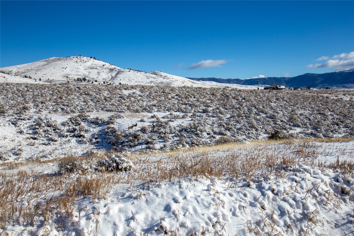 Shining Mountain West - Land