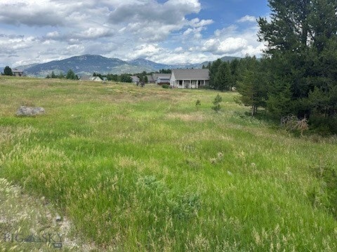TBD Buffalo (Lot 32, Blk 3) Drive