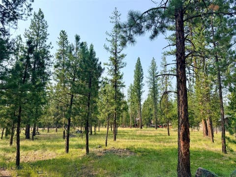 Photo of 723 Timberlane LN, Seeley Lake, MT 59868 (MLS # 413594)