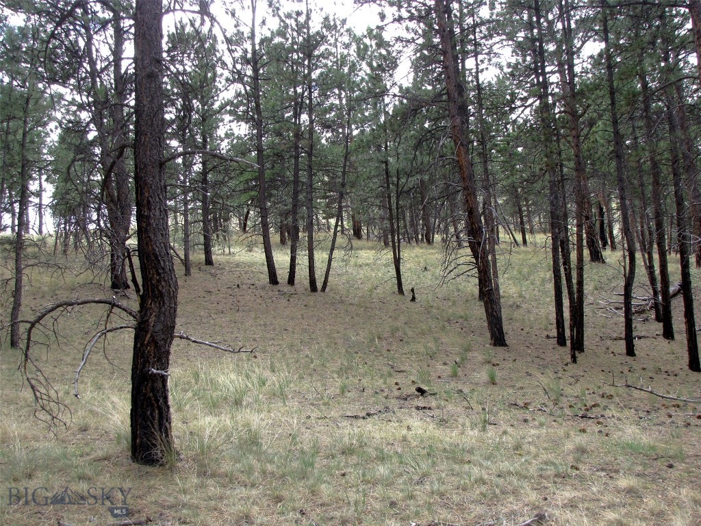 Other - Land