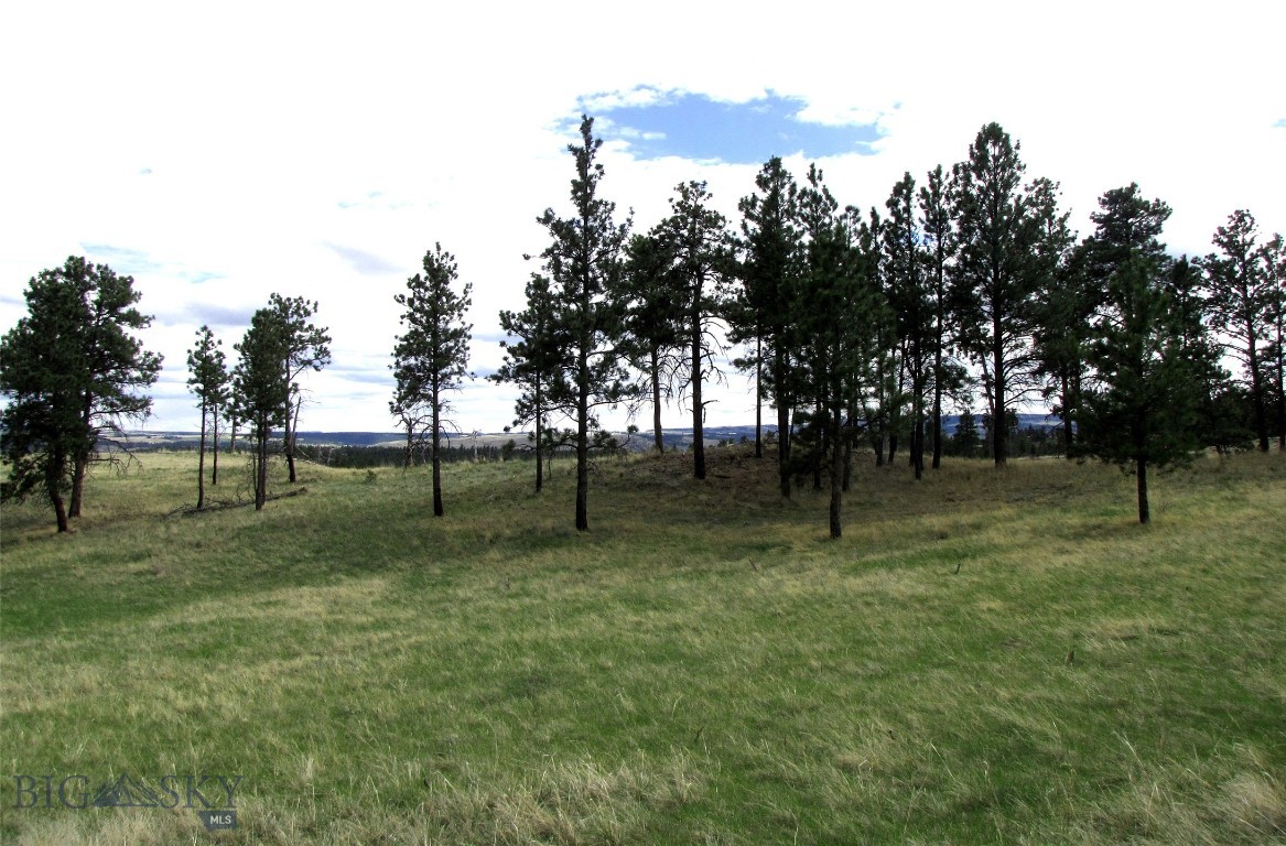 Other - Land