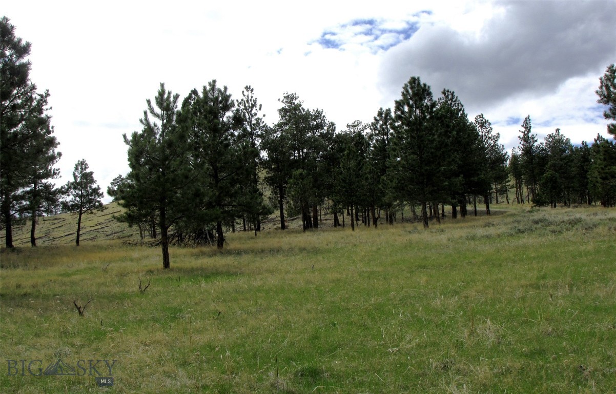 Other - Land