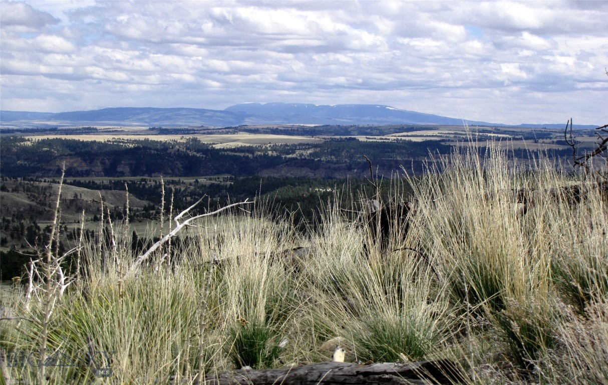Other - Land
