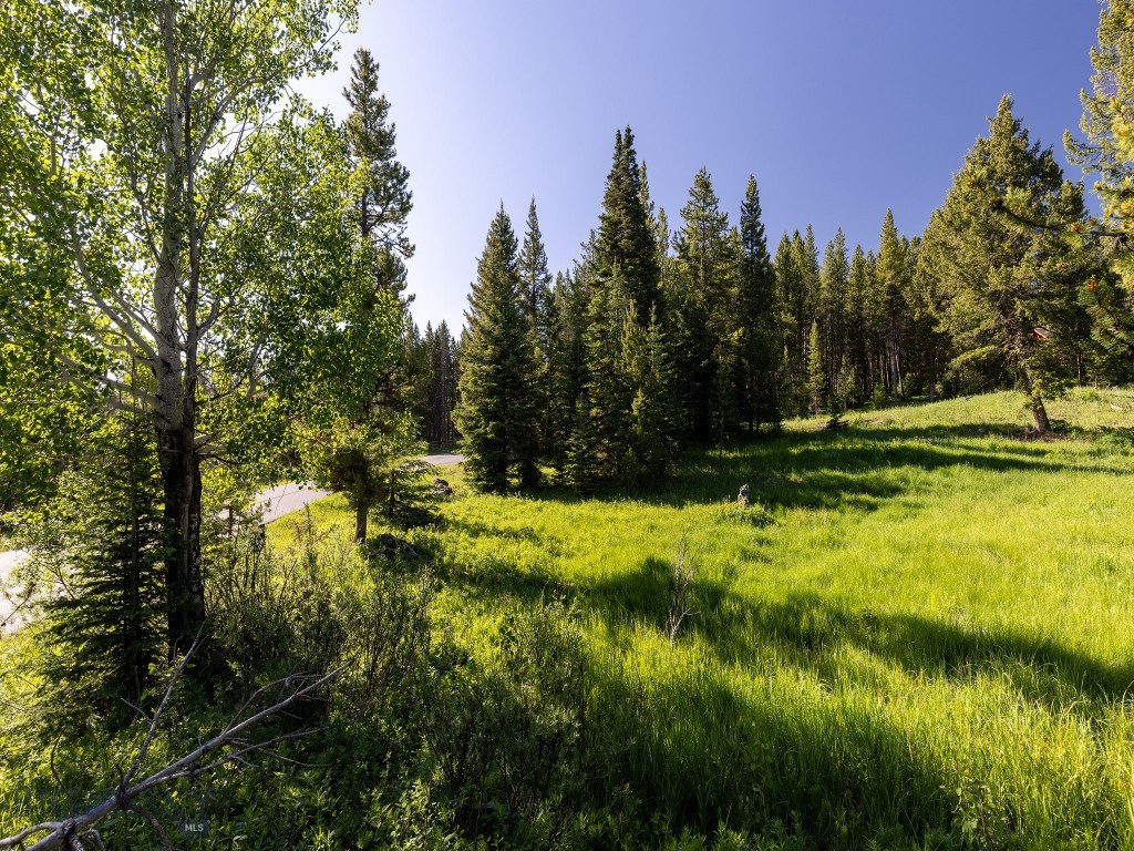 Aspen Groves - Land