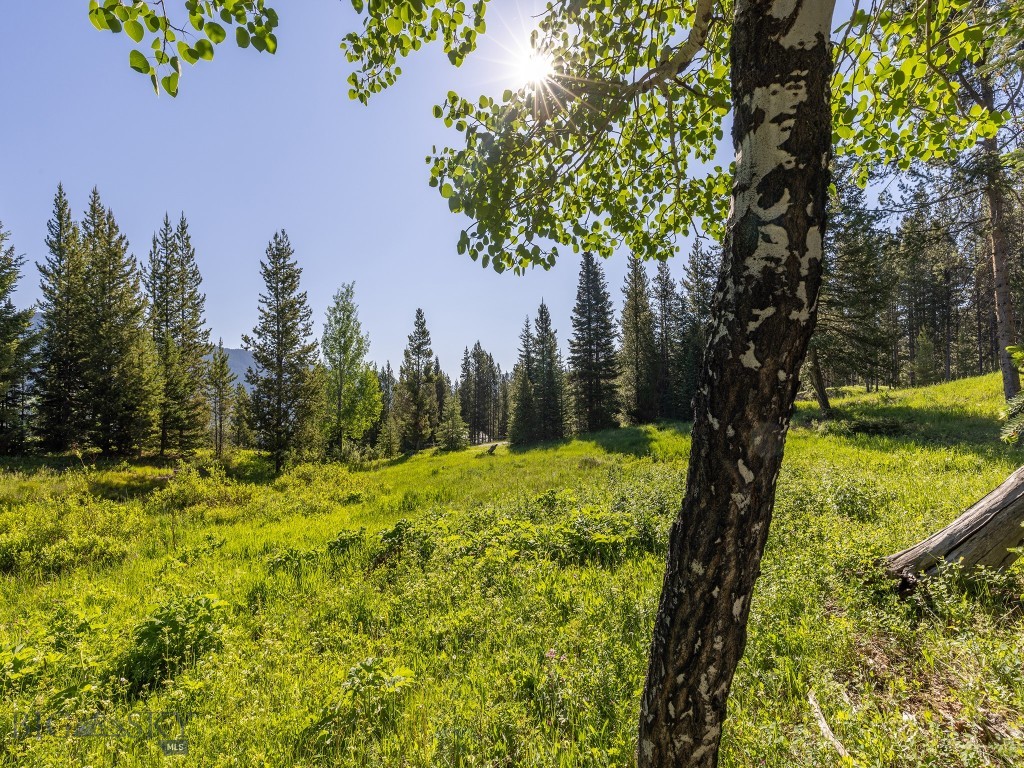 Aspen Groves - Land