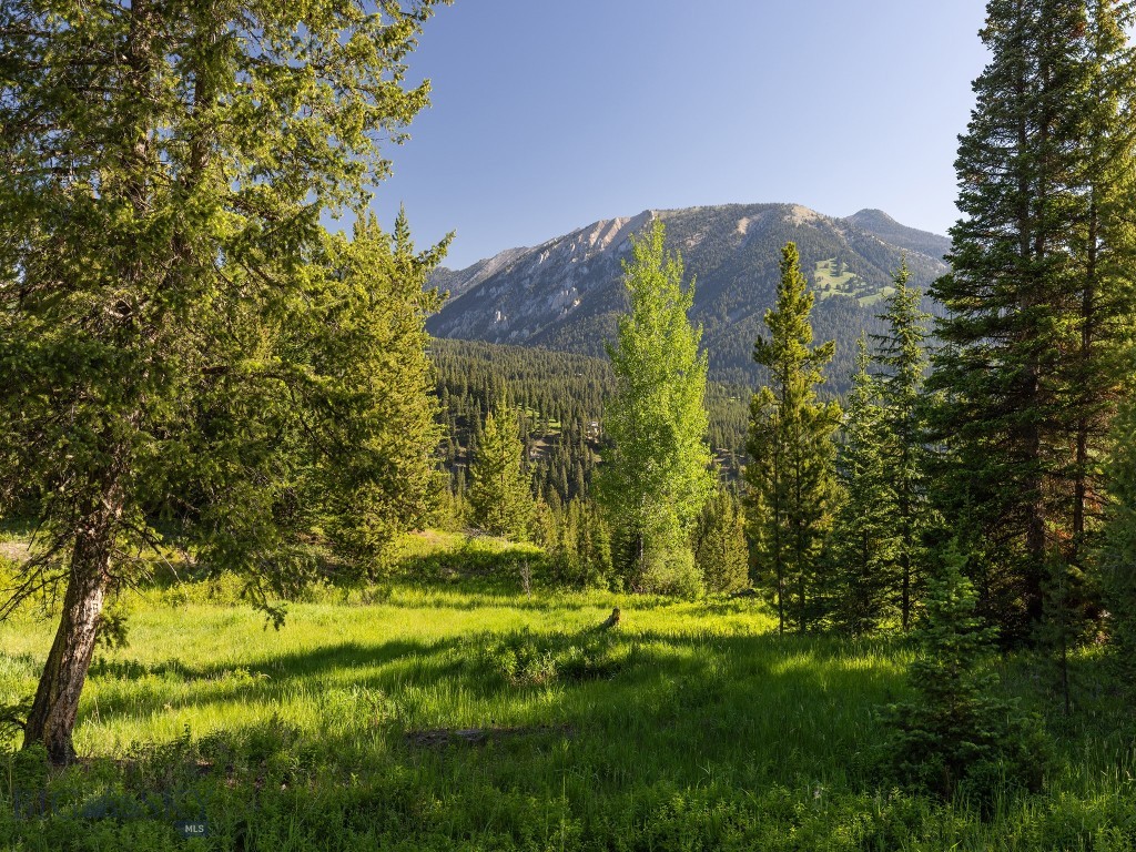 Aspen Groves - Land