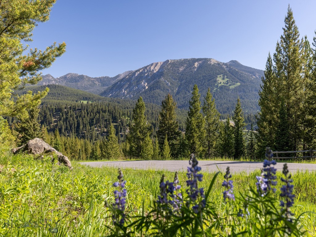 Aspen Groves - Land