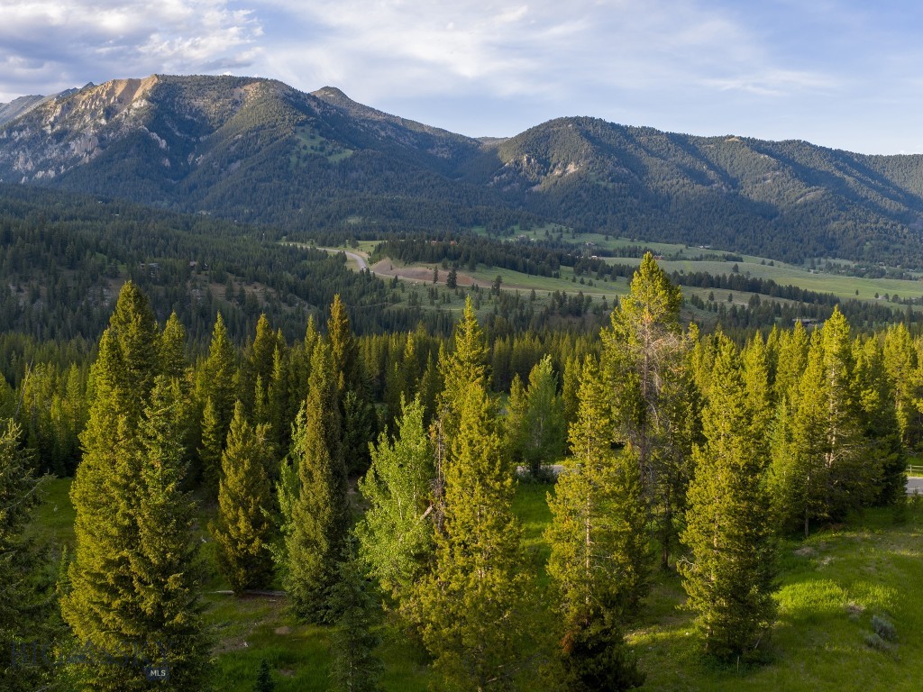 Aspen Groves - Land