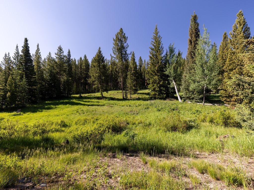 Aspen Groves - Land