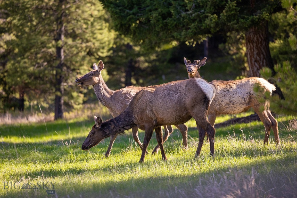 Ranches Neighborhood - Land
