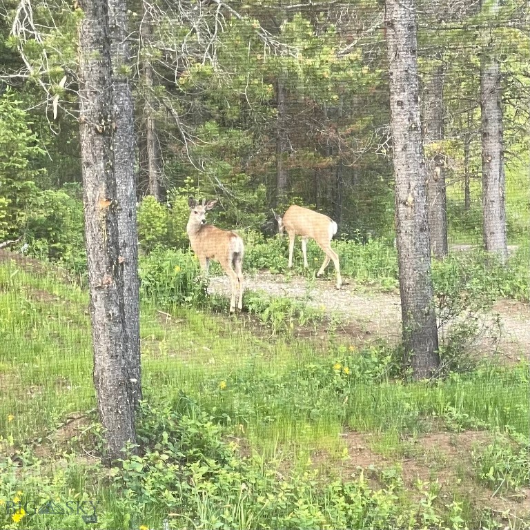 Bozeman, Montana 59715, United States, 1 Bedroom Bedrooms, ,2 BathroomsBathrooms,Residential,Active,143242