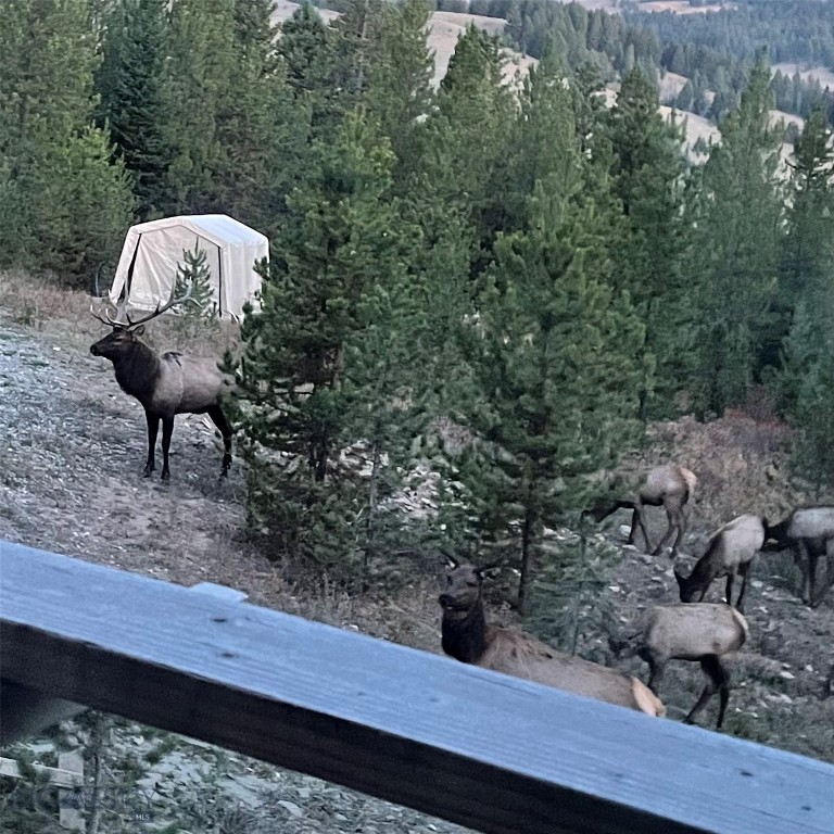 Bozeman, Montana 59715, United States, 1 Bedroom Bedrooms, ,2 BathroomsBathrooms,Residential,Active,143242