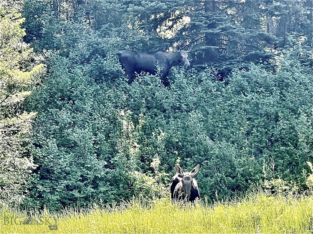 Bozeman, Montana 59715, United States, 1 Bedroom Bedrooms, ,2 BathroomsBathrooms,Residential,Active,143242