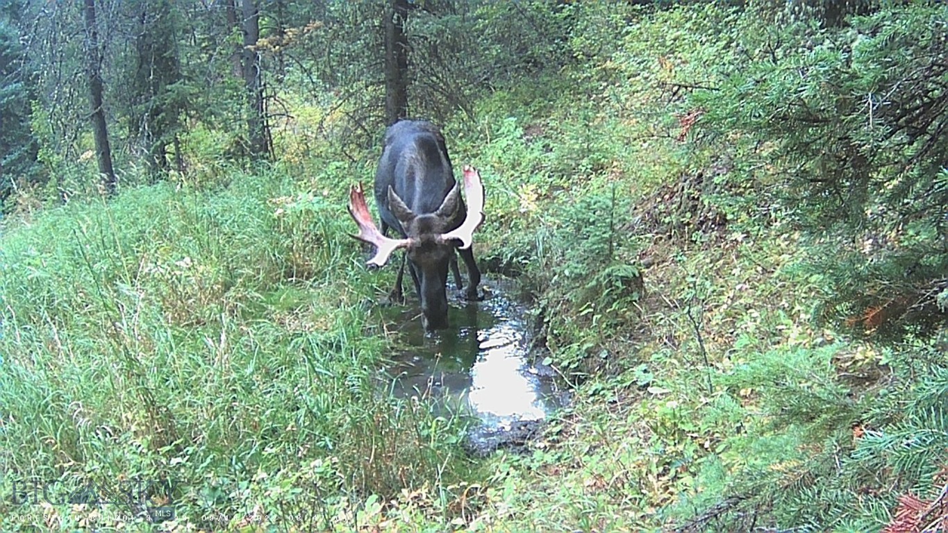 Bozeman, Montana 59715, United States, 1 Bedroom Bedrooms, ,2 BathroomsBathrooms,Residential,Active,143242