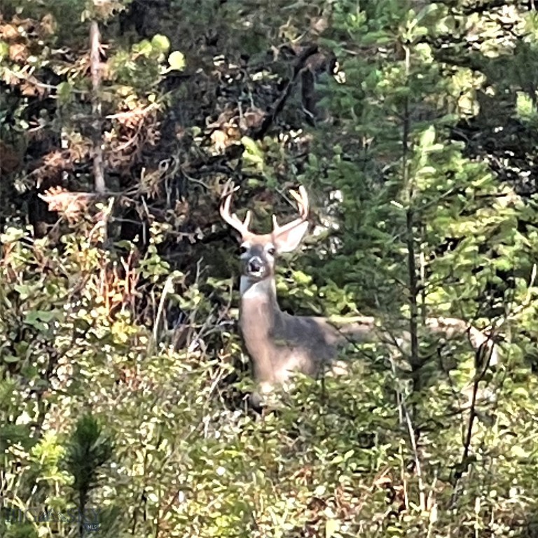 Bozeman, Montana 59715, United States, 1 Bedroom Bedrooms, ,2 BathroomsBathrooms,Residential,Active,143242