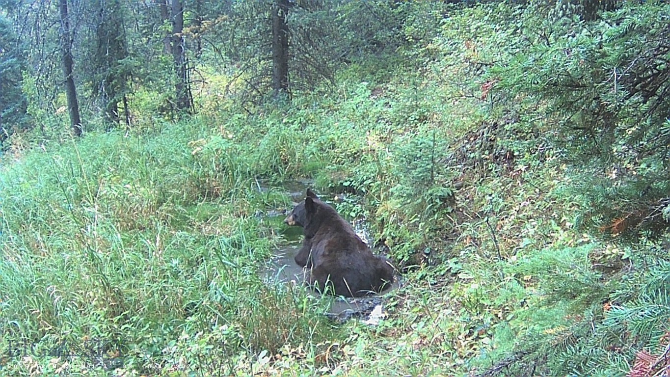 Bozeman, Montana 59715, United States, 1 Bedroom Bedrooms, ,2 BathroomsBathrooms,Residential,Active,143242