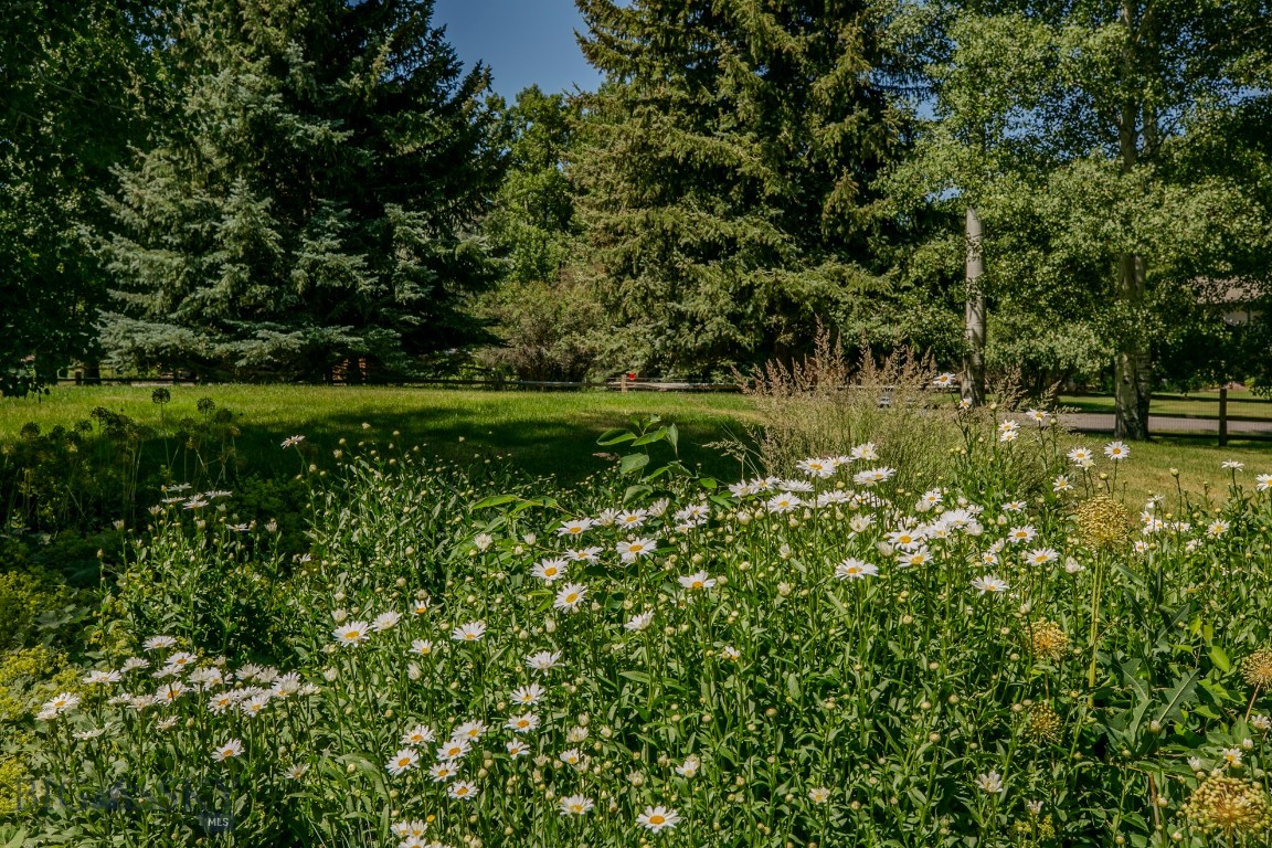 Gardner Park - Residential