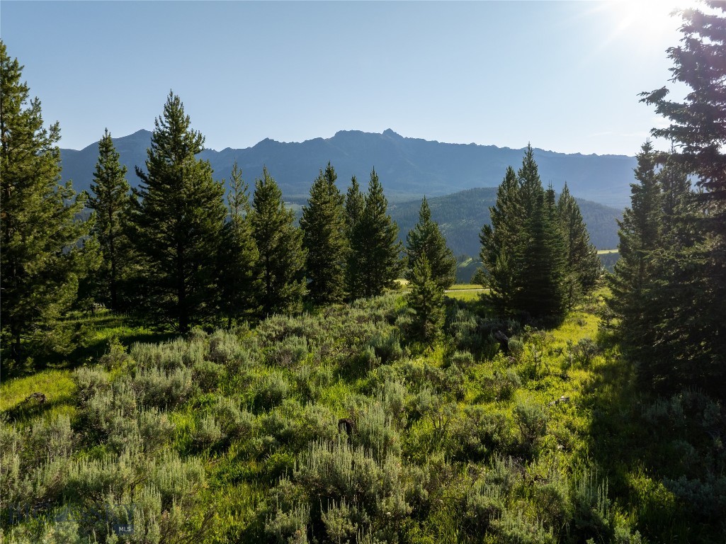 TBD White Wolf Trail Lot 4