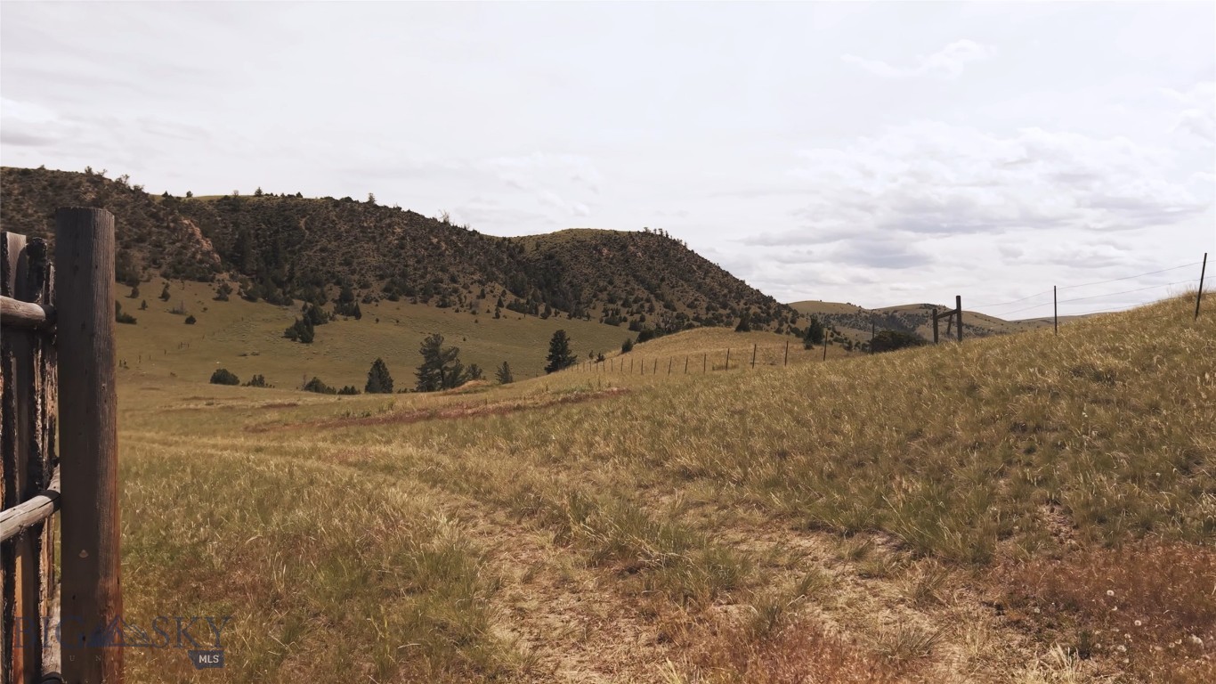 Ponderosa Pines - Land