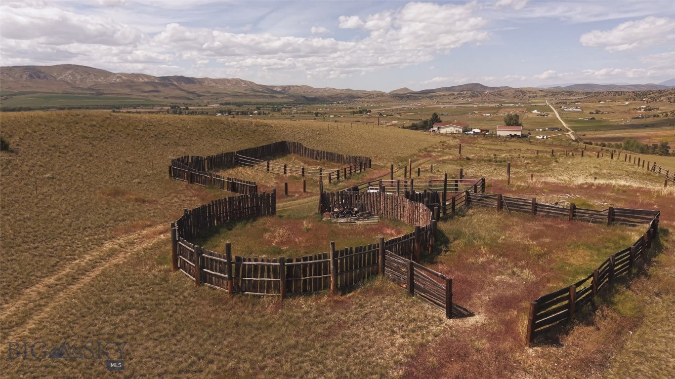 Ponderosa Pines - Land