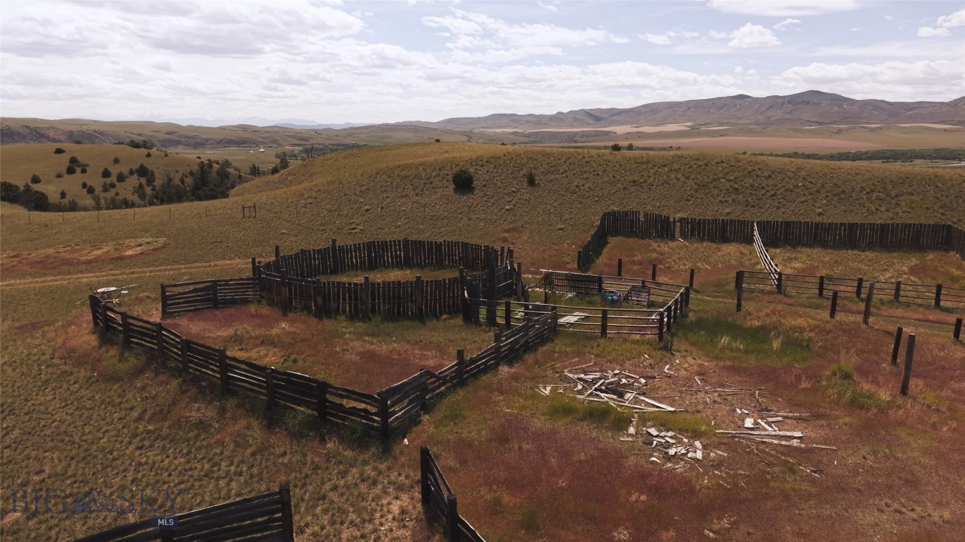 Ponderosa Pines - Land